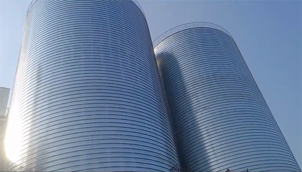 双鸭山2座混凝土高架卷板仓